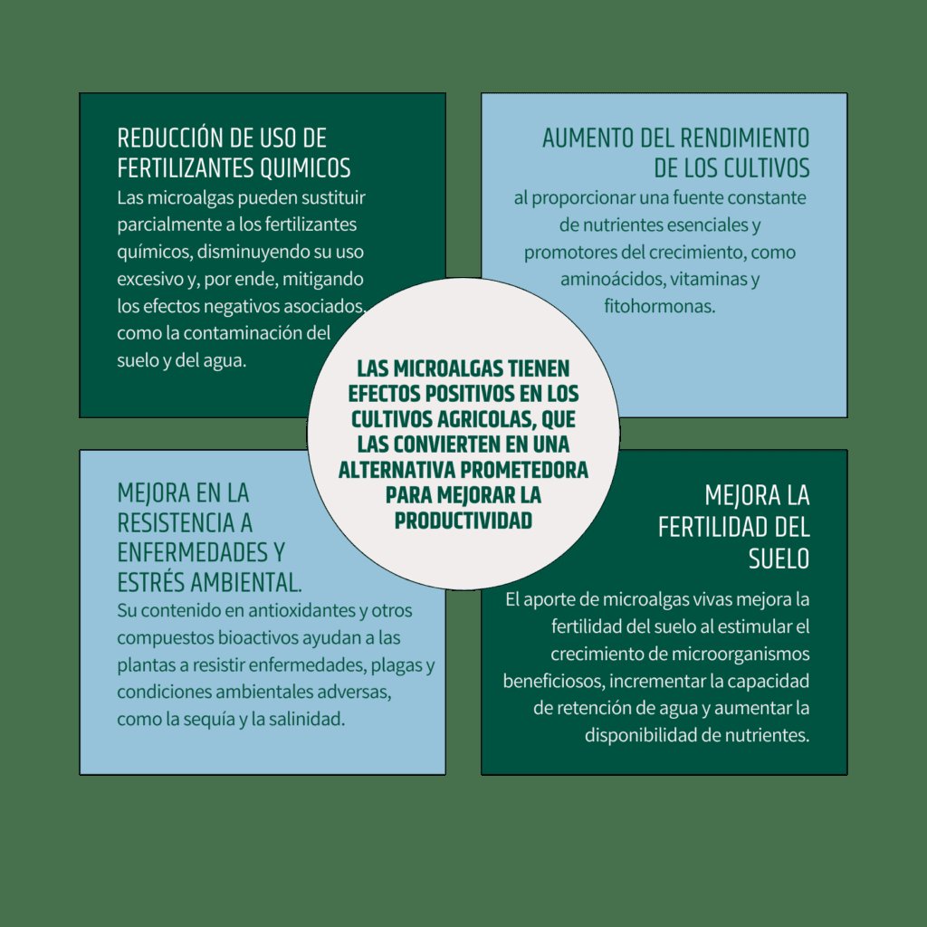Microalgas para agricultura Microalgas para agricultura